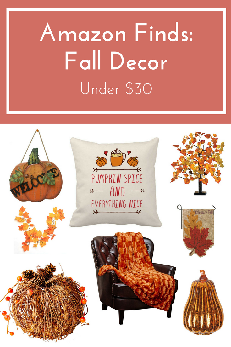 amazon finds fall decor under $30