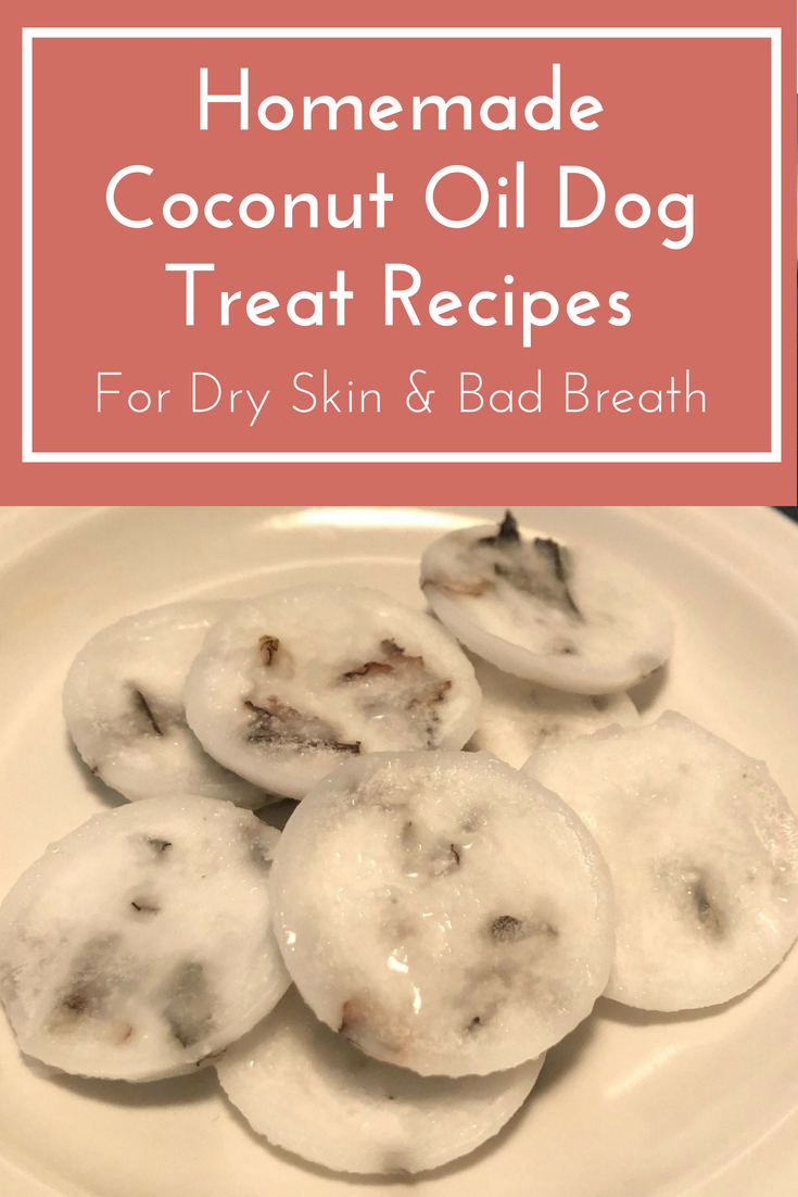 Homemade Coconut Oil Dog Treats Recipes
